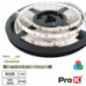 FITA 300 LEDS 2835 RGB 12V 5M PROK