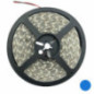 FITA 300 LED 5050 AZUL 144WM 12V 3500LM IP65 5M PROK