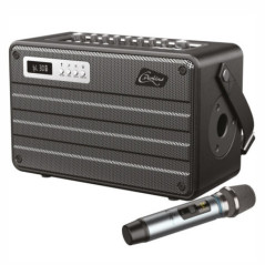 COLUNA AMPLIFICADA ALLINONE 100W C MICROFONE UHF