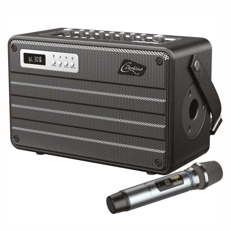 COLUNA AMPLIFICADA ALLINONE 100W C MICROFONE UHF