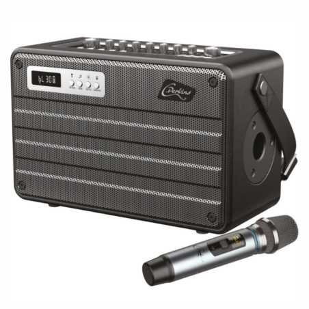 COLUNA AMPLIFICADA ALLINONE 100W C MICROFONE UHF