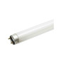 Tubo Fluorescente T8 18W 1250lm 6500K PE31164